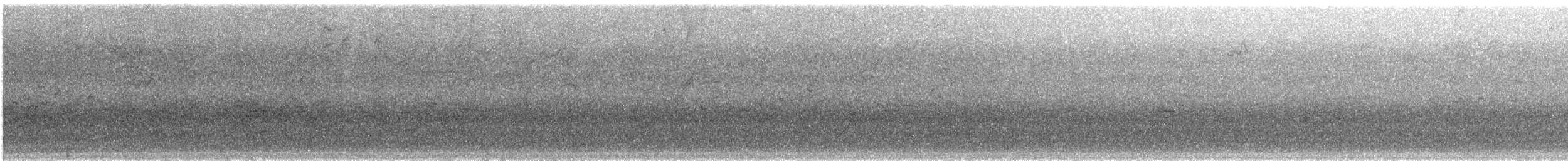 Common Grackle - ML499727431