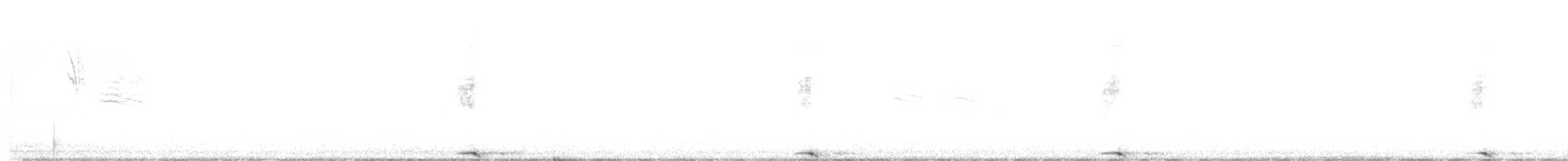 Cuervo Grande - ML499733351