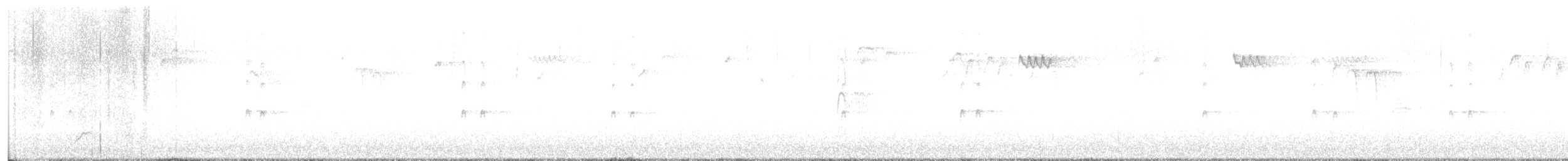 Поплітник каролінський - ML499736881