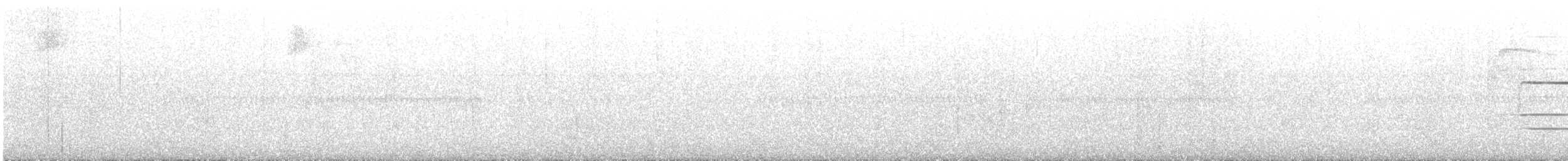 hvitkinnsolitærtrost - ML499769131