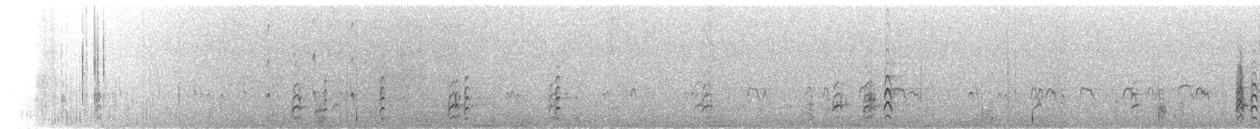 svartkronestylteløper - ML499782561