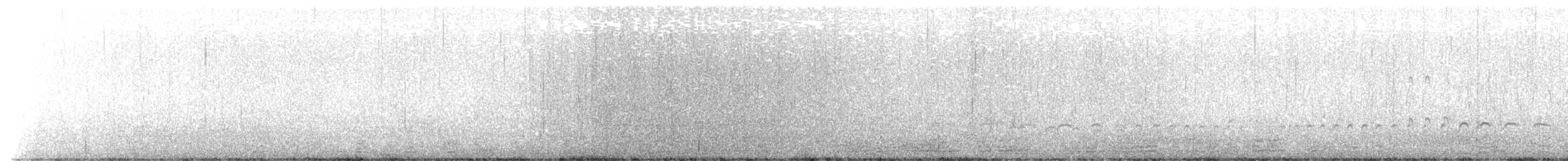 Казарка чорна (підвид hrota) - ML499786751