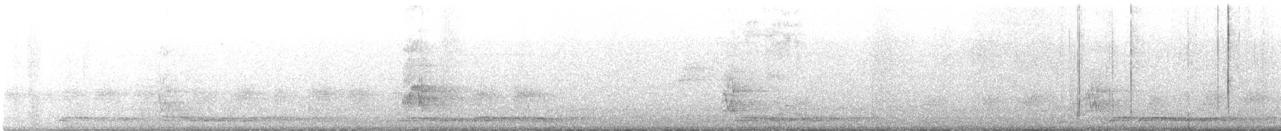 holoubek vlnkovaný - ML499794991