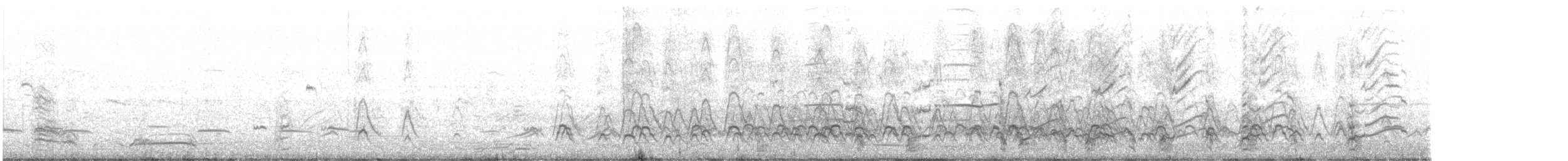 アメリカヒドリ - ML499800641