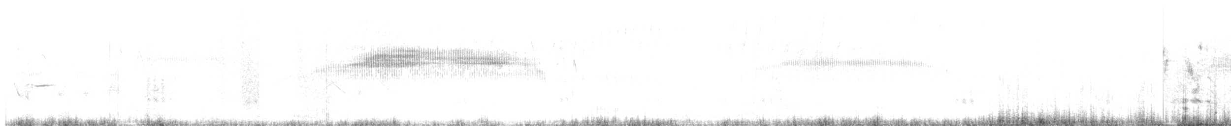 Strichelrücken-Dickichtschlüpfer - ML499827751