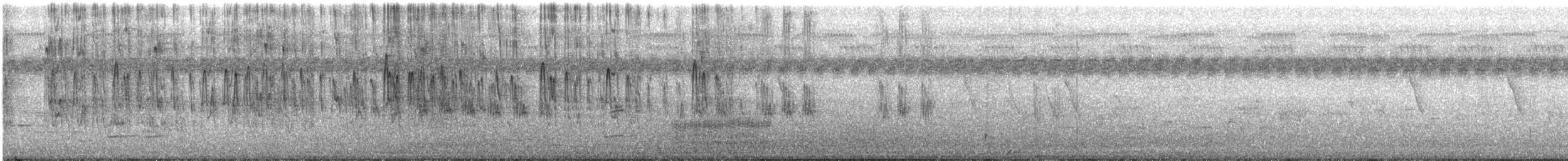 Western Reef-Heron - ML499838361