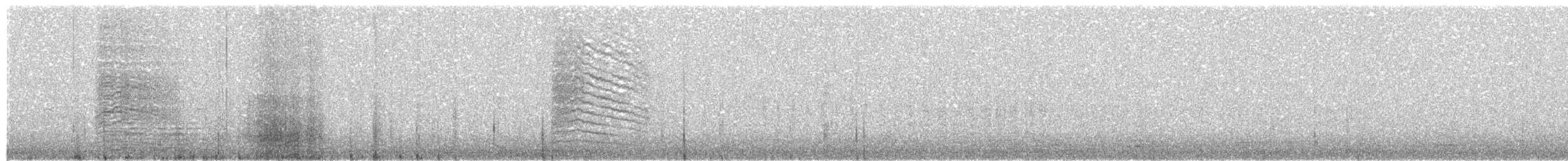 Gray Catbird - ML49985011