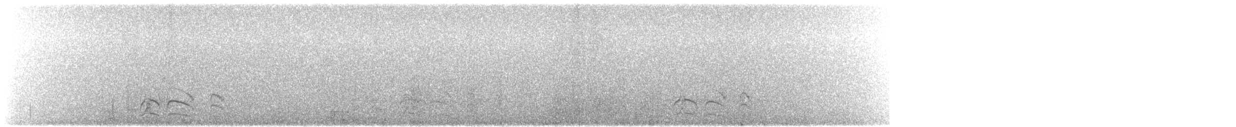 Австралийский совиный козодой - ML499878971