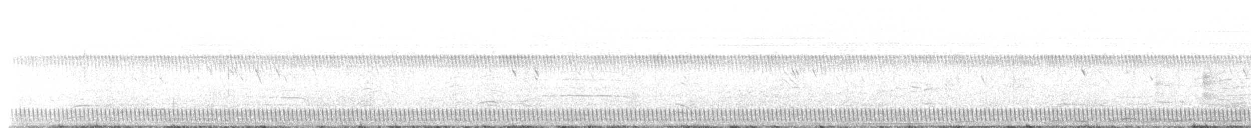 Sombre Nightjar - ML499894811