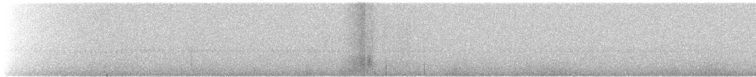 Spotted Nightjar - ML499897441