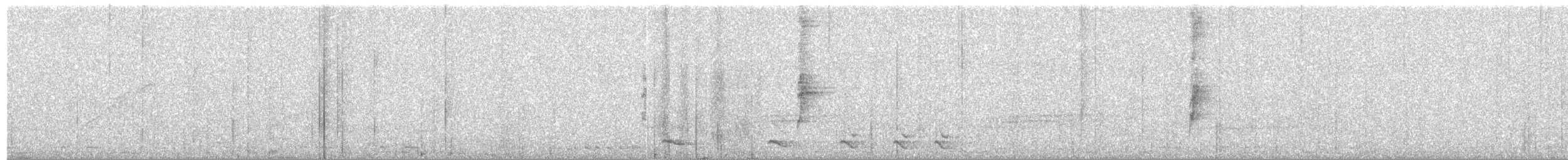 Schwarzgrau-Ameisenwürger - ML499969061