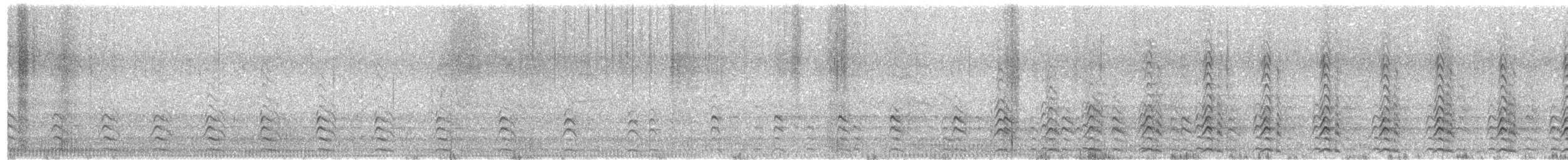 gulpannesothøne - ML499975821