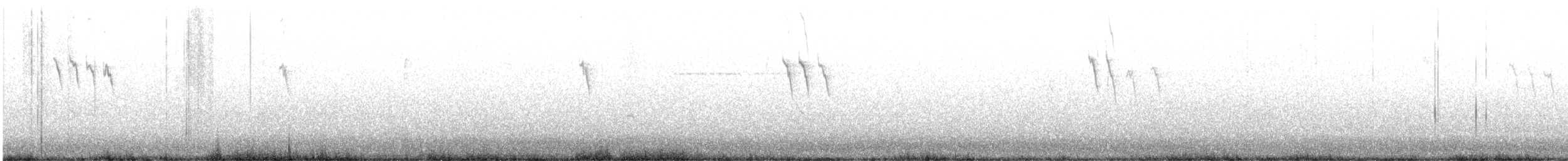 American Pipit - ML499998481