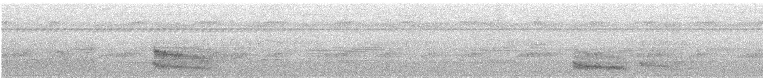 Grauschopf-Ameisenvogel - ML500000231