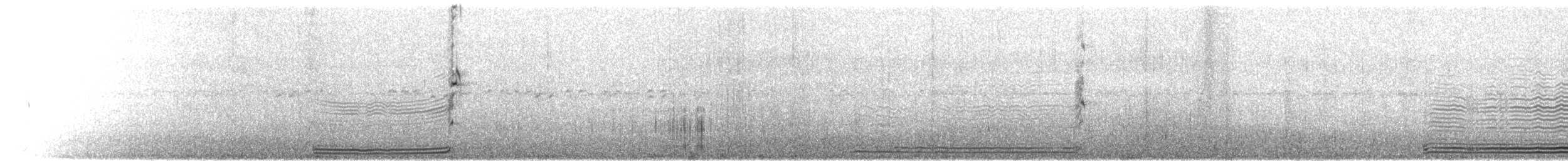 Bermudasturmvogel - ML50000131