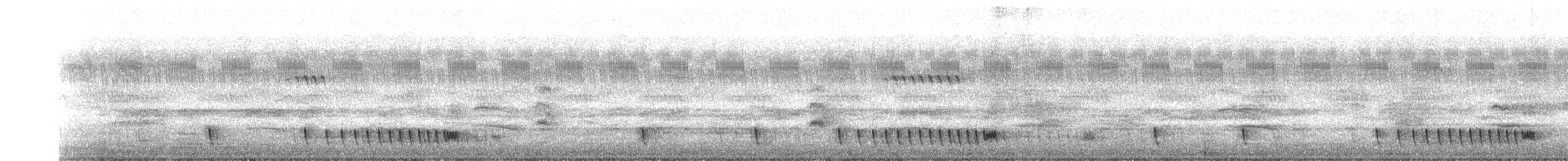 Chotacabras Hindú - ML500016241