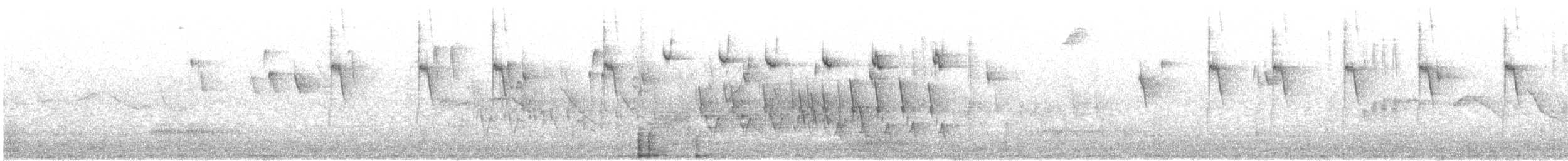 Weißbauchamazilie - ML500038871