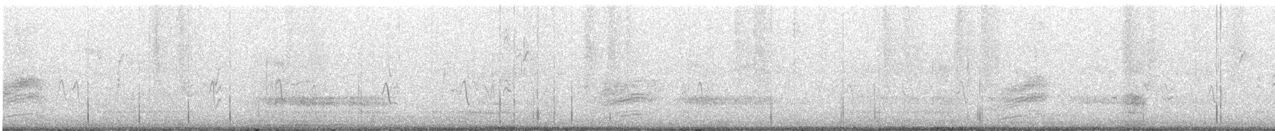 Spotted Towhee - ML500088841