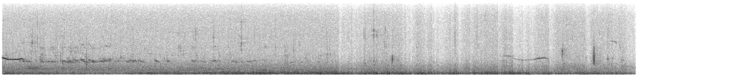 Black-bellied Plover - ML500115531