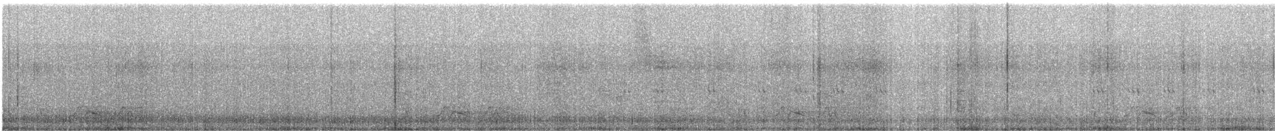 Carolinanachtschwalbe - ML500131211
