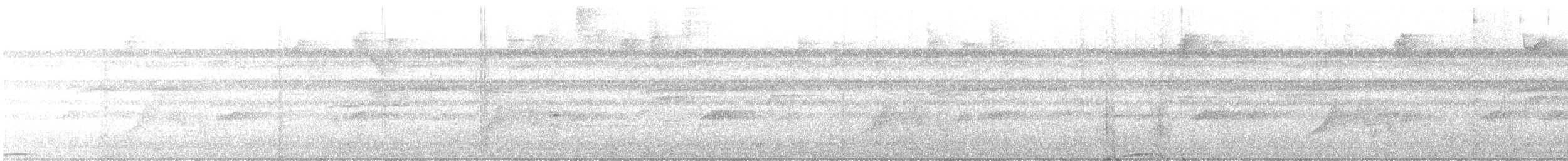 Motmot caraïbe (groupe subrufescens) - ML500202441