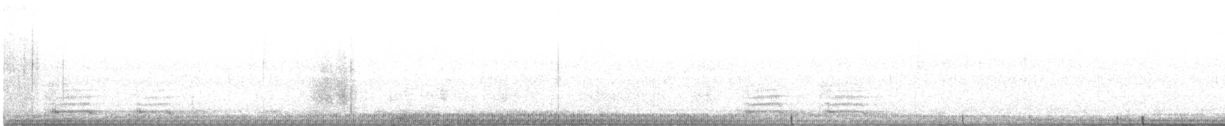עורב שחור - ML500204901
