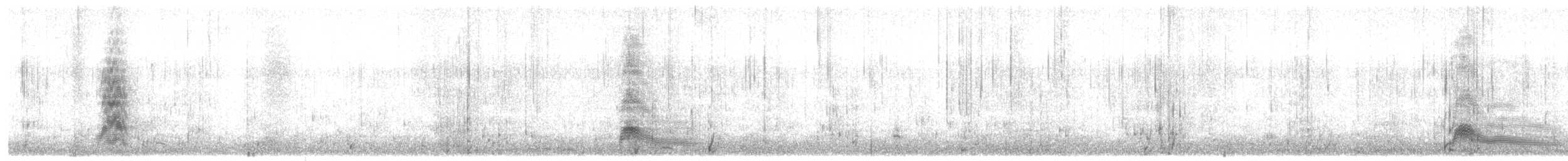 Bonaparte's Gull - ML500236831