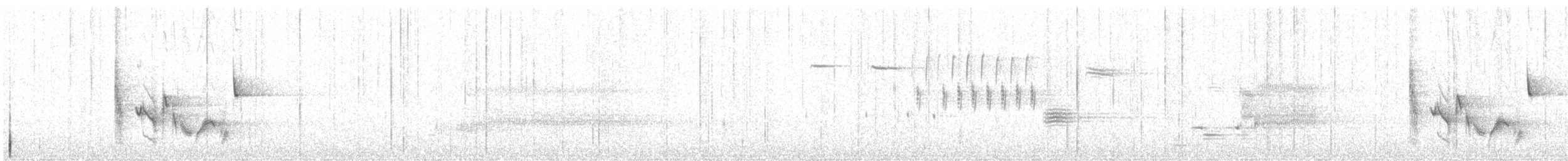 White-eyed Vireo - ML500343821