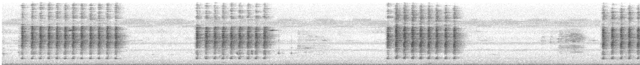 Сибирский жулан (cristatus/confusus) - ML500345961