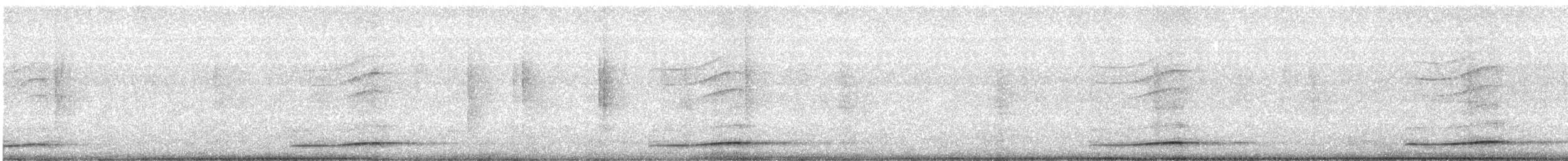 Pazifikkoel (cyanocephalus/subcyanocephalus) - ML500389551