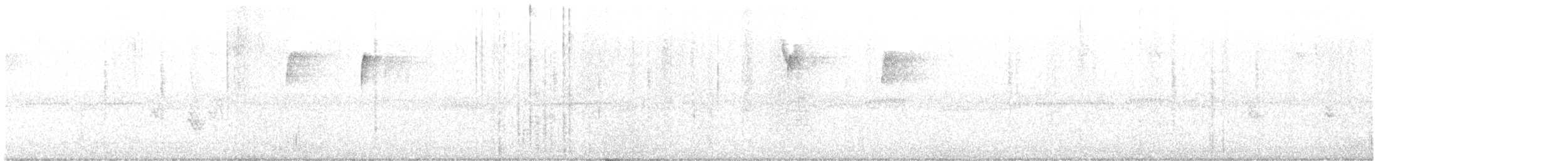 kolibřík širokozobý - ML500399941