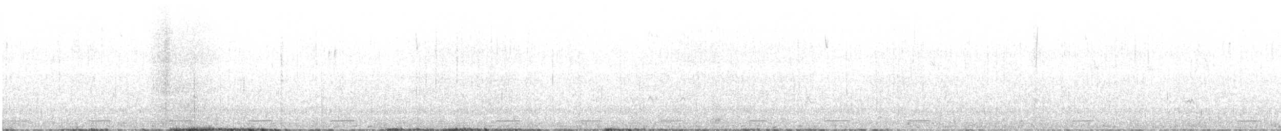 Серогрудый зобатый бегунок - ML500508321