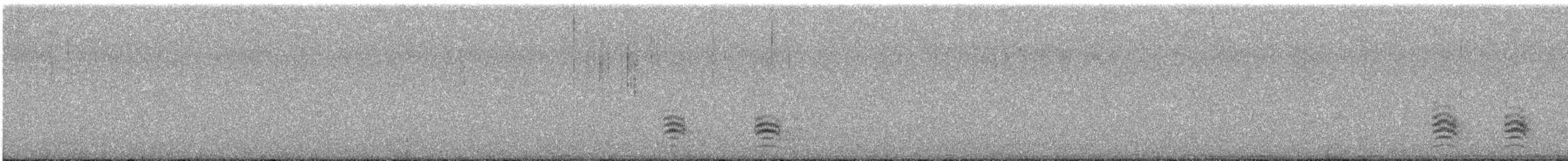 White-breasted Nuthatch (Eastern) - ML500526081