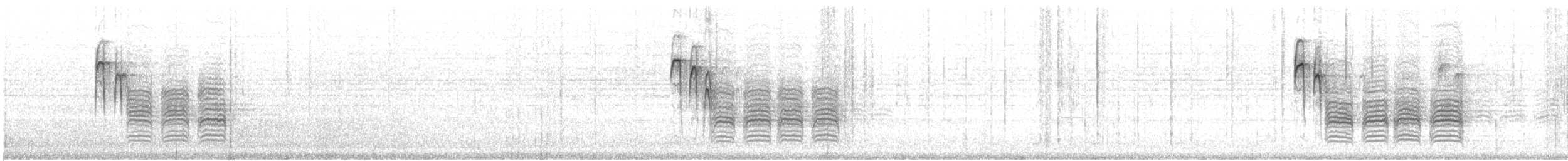 Carbonero Cabecinegro - ML500528901