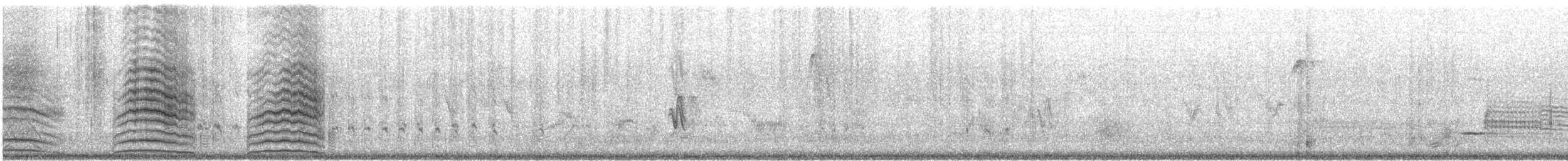 Eurasian Collared-Dove - ML500531521