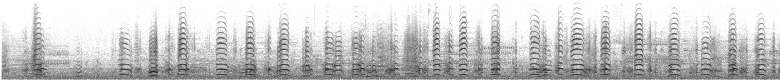 Kanadagans [canadensis-Gruppe] - ML500533091