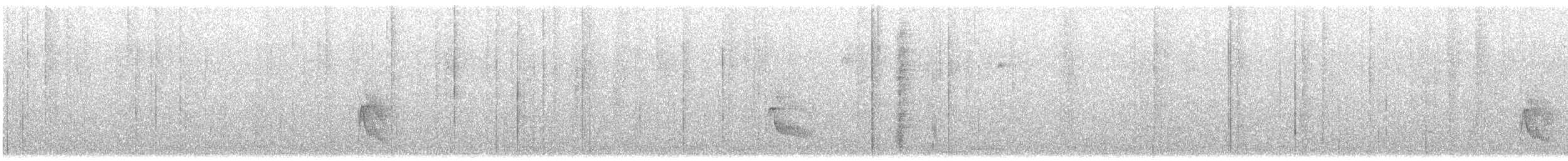 beltetyrann - ML500536931