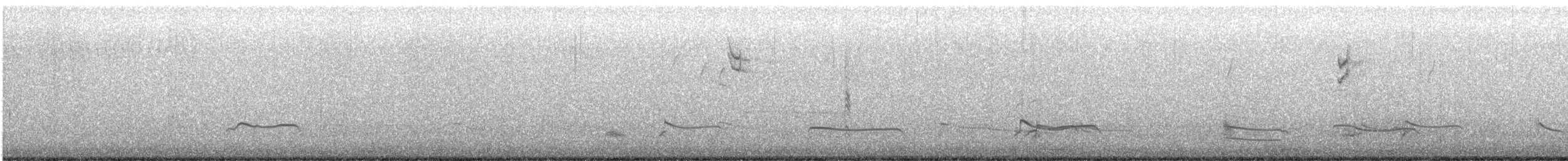 Pluvier argenté - ML500547951