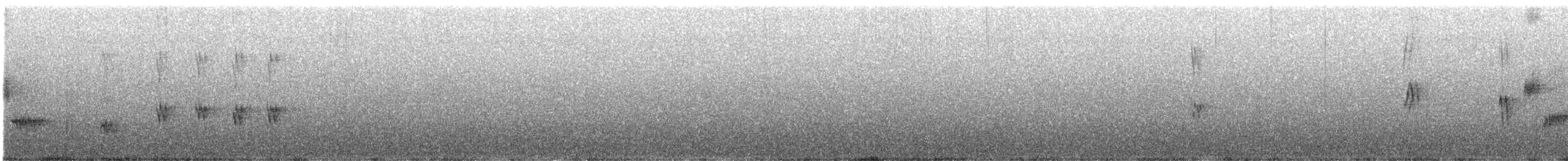 Пронурок сірий - ML50055651