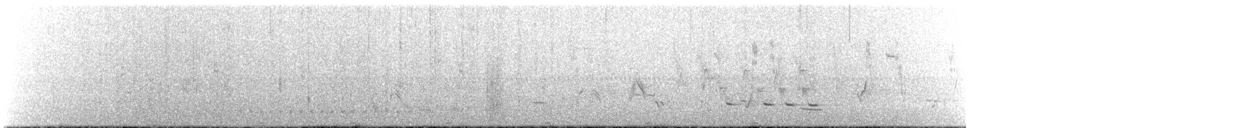 holub chocholatý - ML500601331