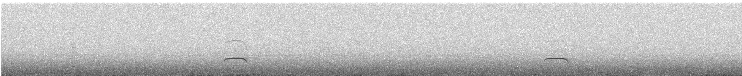 Пестрогорлая гевара - ML500650871