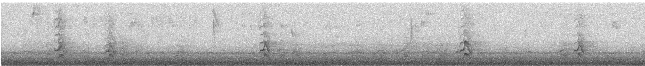 ズアカウロコインコ - ML500654461