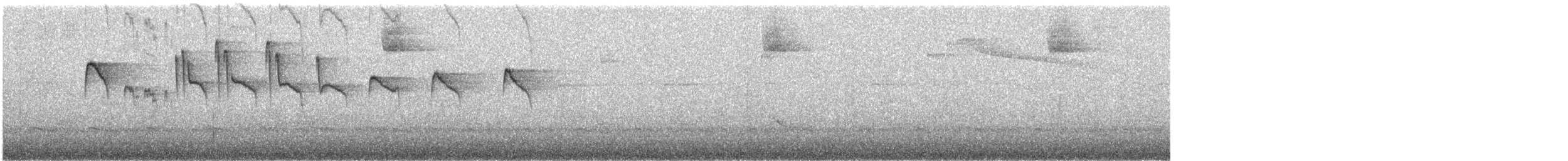 Тиран-крихітка чорноголовий - ML500656101