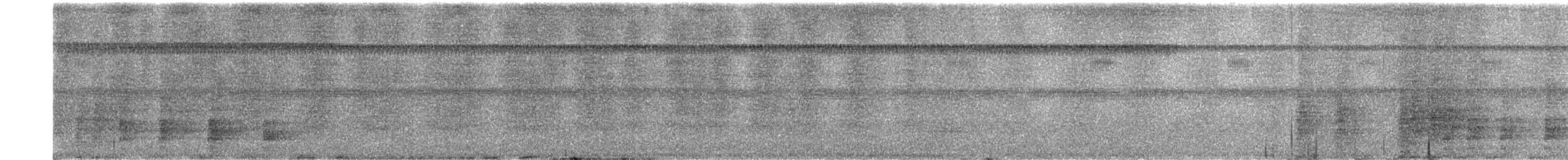 gråvingetrompetfugl - ML500671151