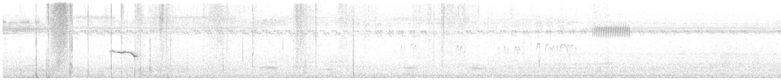 Papogorri siberiarra - ML500727421
