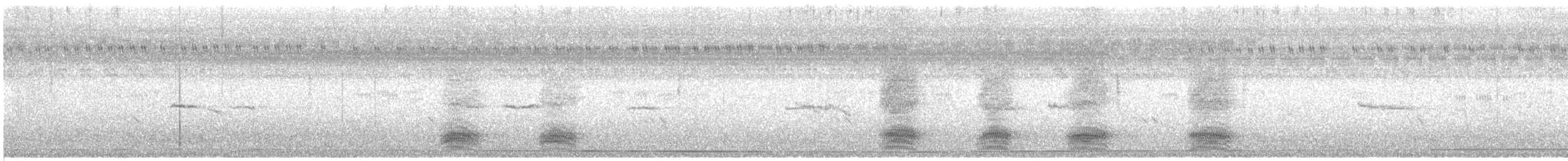 Papogorri siberiarra - ML500727901