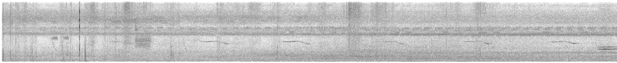 Papogorri siberiarra - ML500729561