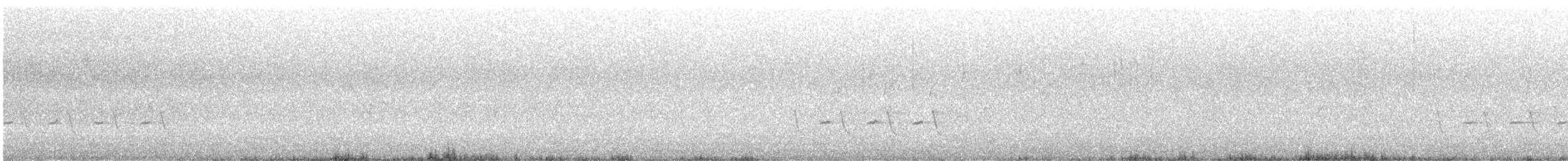 Carolina Wren - ML500790921