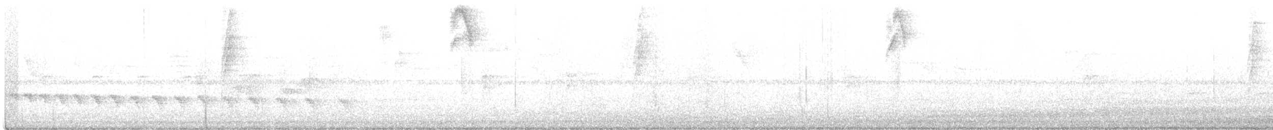 Grauband-Ameisenvogel - ML500898141