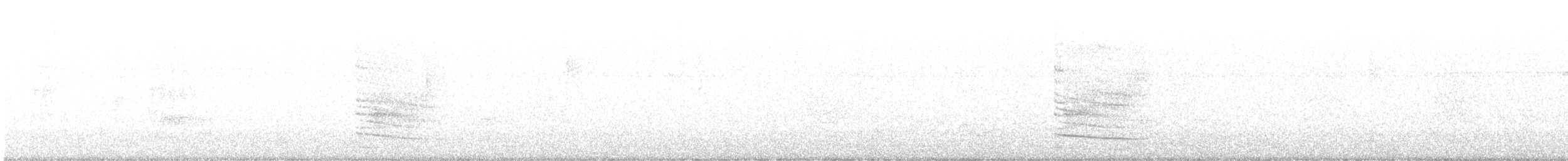 Зернолуск білогорлий - ML500930721